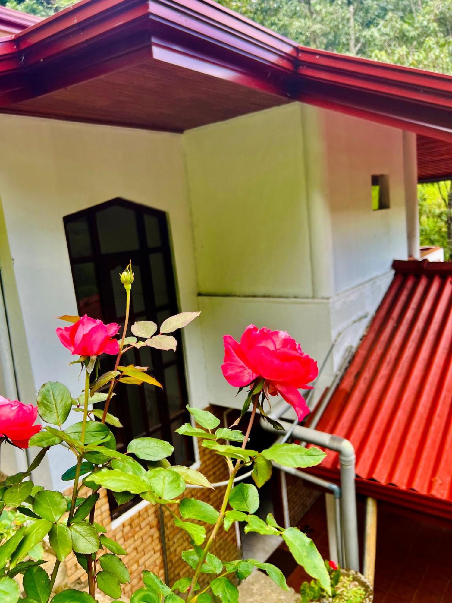 Pineview Lodge Элла Экстерьер фото
